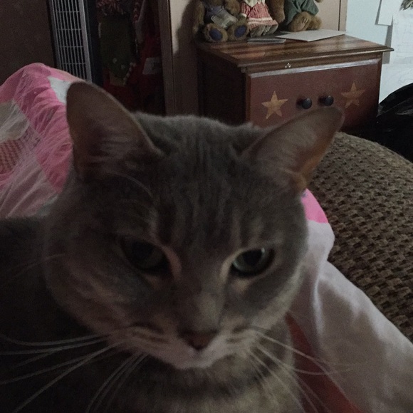 Meet your Posher, Jen - Picture 1 of 1